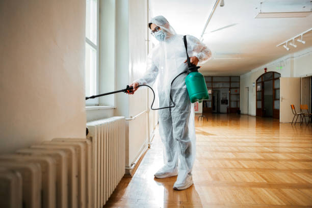 Best Pest Inspection Near Me  in Elfers, FL